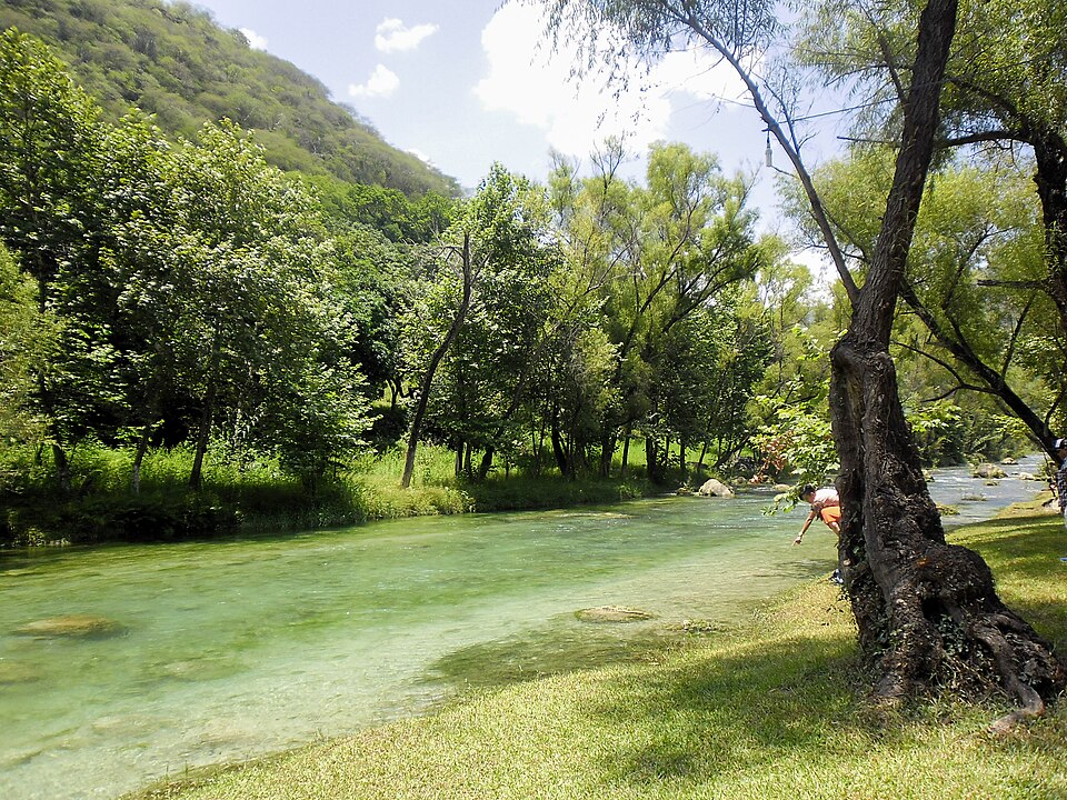 Río Ayutla, rodeado de vegetación en Arroyo Seco